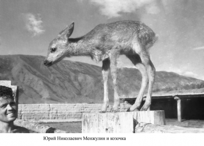 Пик Победа, 1949 (Альпинизм, инылчек, звездочка, колокольников)