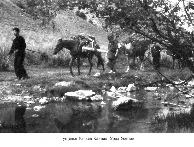 Пик Победа, 1949 (Альпинизм, инылчек, звездочка, колокольников)