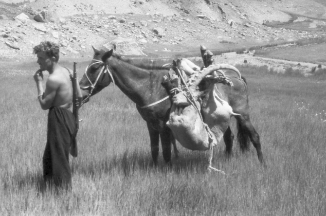 Пик Победа, 1949 (Альпинизм, инылчек, звездочка, колокольников)