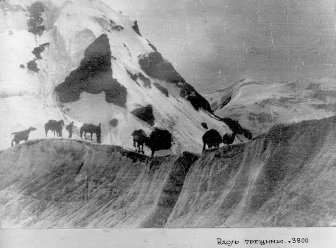 Пик Победа, 1949 (Альпинизм, инылчек, звездочка, колокольников)