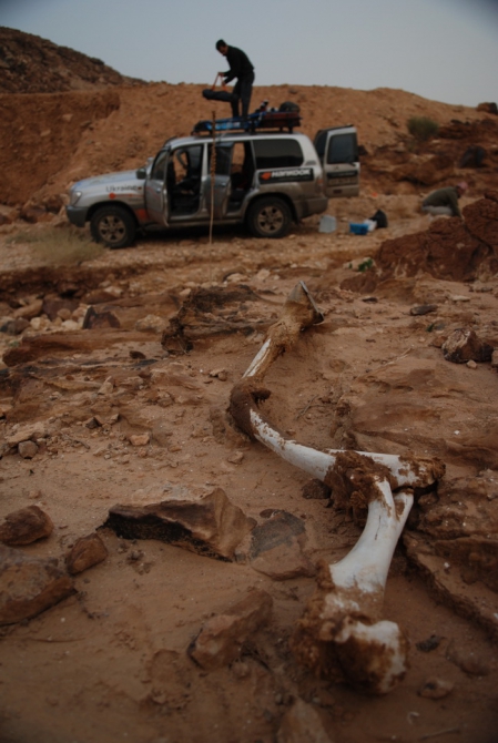 Они едут в Африку! Что в программе на сегодня? Иордания:)), Путешествия, way2africa, автопутешествие, андрей шпак, вадим шмайлов, африка, экспедиции)