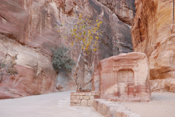 Петра, Акаба... Фото! (Путешествия, way2africa, автопутешествие, андрей шпак, вадим шмайлов, африка, экспедиции)