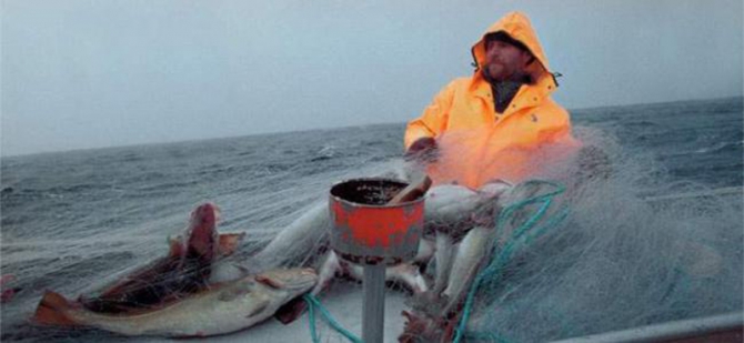 «Вершины Европы». Норвегия. Галдхопигген. (Путешествия, путешествия)