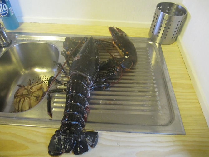 «Вершины Европы». Норвегия. Галдхопигген. (Путешествия, путешествия)