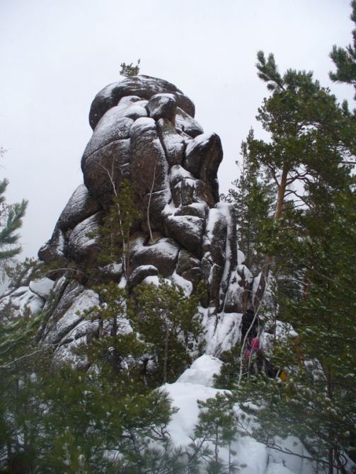 Елочки к Новому Году! (столбы, новый год)