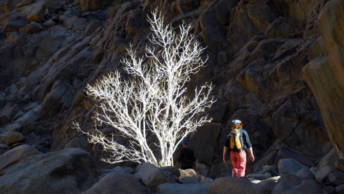 Планета Синай, или как перелетовать часть зимы. (Альпинизм, египет)