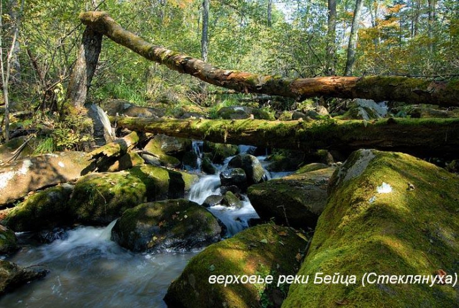 По Уссурийскому краю 1902 года... (Путешествия, приморский край, уссурийский край, приханкайская низменность, стеклянуха, илистая, горы пржевальского, сихотэ-алинь, арсеньев, озеро ханка)