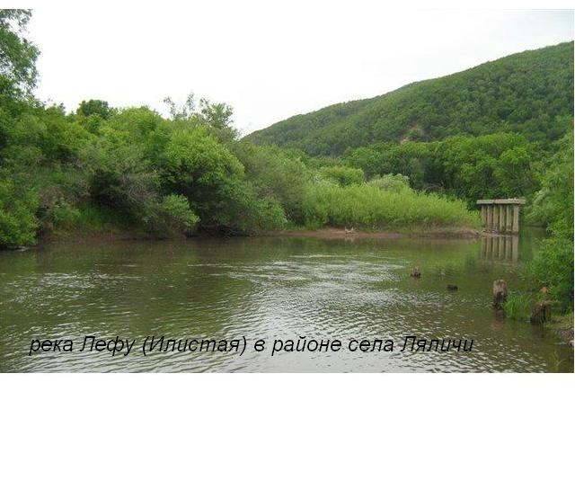 По Уссурийскому краю 1902 года... (Путешествия, приморский край, уссурийский край, приханкайская низменность, стеклянуха, илистая, горы пржевальского, сихотэ-алинь, арсеньев, озеро ханка)