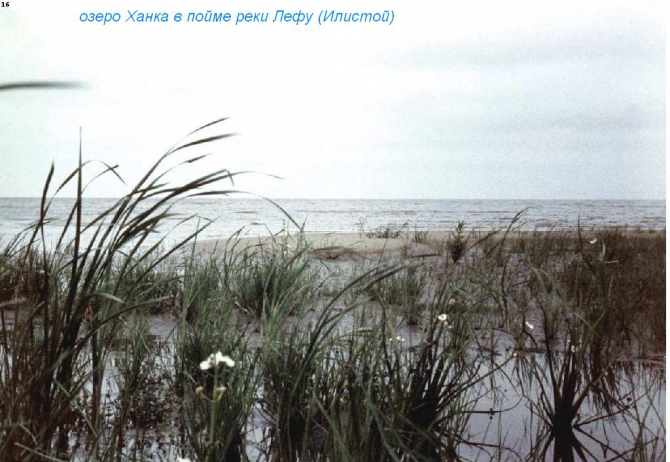 По Уссурийскому краю 1902 года... (Путешествия, приморский край, уссурийский край, приханкайская низменность, стеклянуха, илистая, горы пржевальского, сихотэ-алинь, арсеньев, озеро ханка)