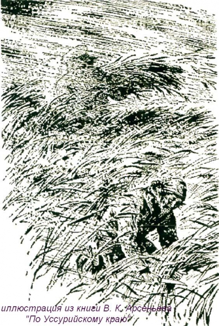По Уссурийскому краю 1902 года... (Путешествия, приморский край, уссурийский край, приханкайская низменность, стеклянуха, илистая, горы пржевальского, сихотэ-алинь, арсеньев, озеро ханка)