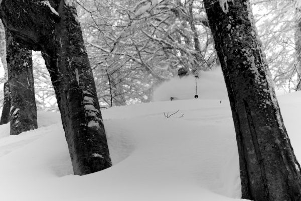 Nissan Russian Adventure by Swatch перенесли в Шамони... (Бэккантри/Фрирайд, fwt, 2010, красная поляна, фрирайд, fwt-2010, соревнования)