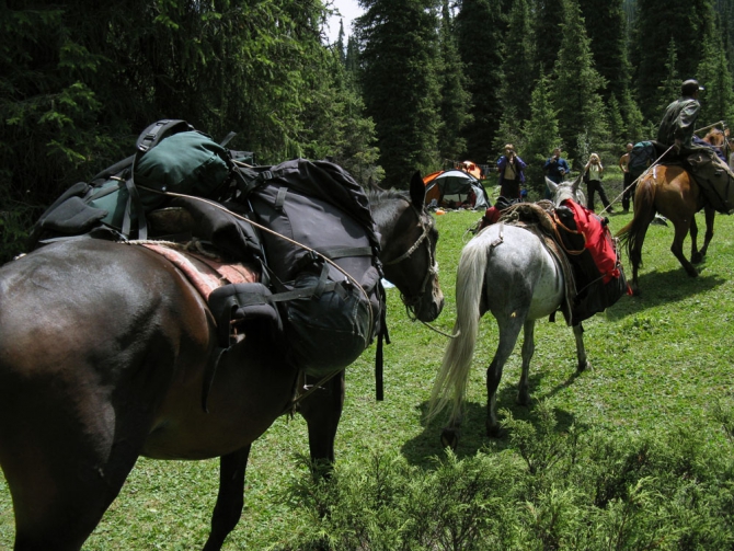 Терскей-Алатоо (Центральный Тянь-Шань), с 29 июля по 16 августа 2008 г , 4 к.с. (Альпинизм, амореде)