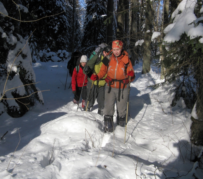 Брянские партизаны на Белом рейде (брянские леса, соревнования, пср 2010, туризм)
