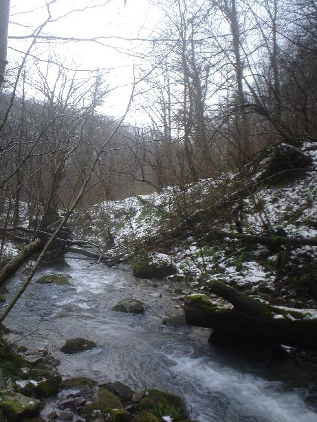 Что такое "ПСР"?