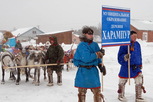 День оленевода в деревне Харампур на Ямале (Путешествия, традиции, коренной народ, оленеводы, неща, ненцы)