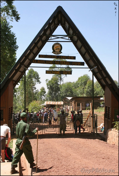 Мечты о Килиманджаро, ставшие реальностью... (Горный туризм, kilimanjaro, machame, мачаме, меру, шира, кибо, танзания, африка, восхождение, путешествия, горы, альпинизм, фото, фотография, photo)