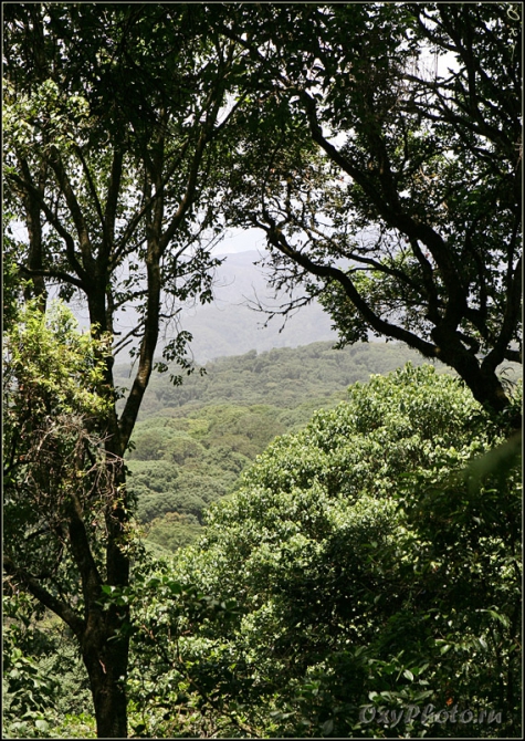 Мечты о Килиманджаро, ставшие реальностью... (Горный туризм, kilimanjaro, machame, мачаме, меру, шира, кибо, танзания, африка, восхождение, путешествия, горы, альпинизм, фото, фотография, photo)