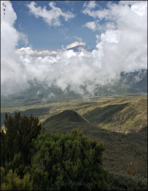 Мечты о Килиманджаро, ставшие реальностью... (Горный туризм, kilimanjaro, machame, мачаме, меру, шира, кибо, танзания, африка, восхождение, путешествия, горы, альпинизм, фото, фотография, photo)