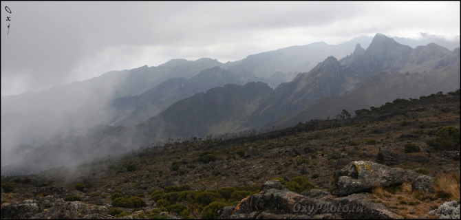 Мечты о Килиманджаро, ставшие реальностью... (Горный туризм, kilimanjaro, machame, мачаме, меру, шира, кибо, танзания, африка, восхождение, путешествия, горы, альпинизм, фото, фотография, photo)