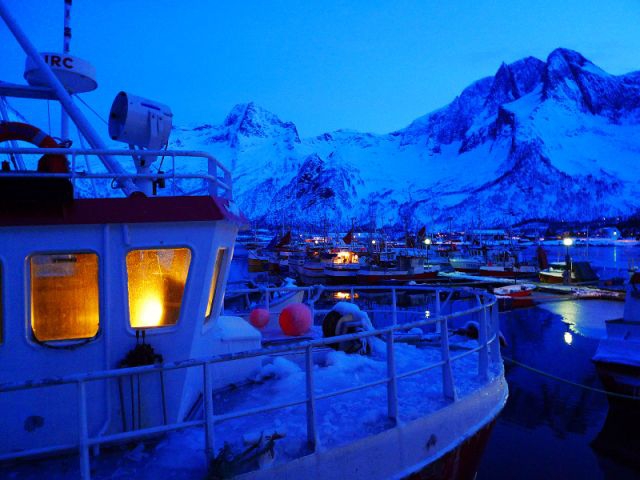 Норвежские саги. Случайная встреча (Альпинизм, lofoten, презель, лофотенские острова, фото, норвегия, женский фестиваль, grivel)