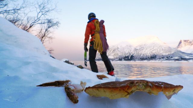 Норвежские саги. Случайная встреча (Альпинизм, lofoten, презель, лофотенские острова, фото, норвегия, женский фестиваль, grivel)