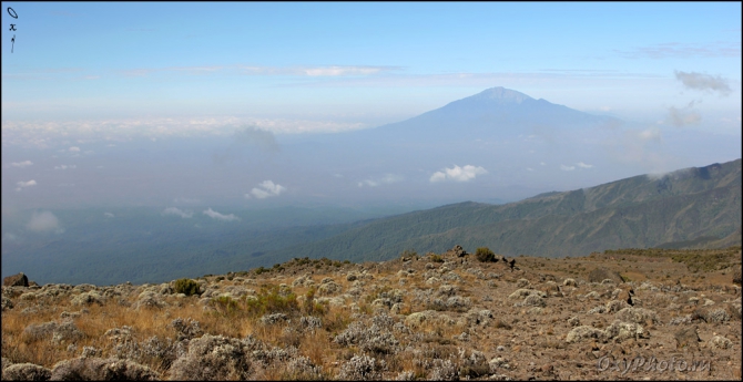 Мечты о Килиманджаро, ставшие реальностью... (2, Горный туризм, kilimanjaro, machame, мачаме, меру, шира, кибо, танзания, африка, восхождение, путешествия, горы, альпинизм, фотография, фото, photo)