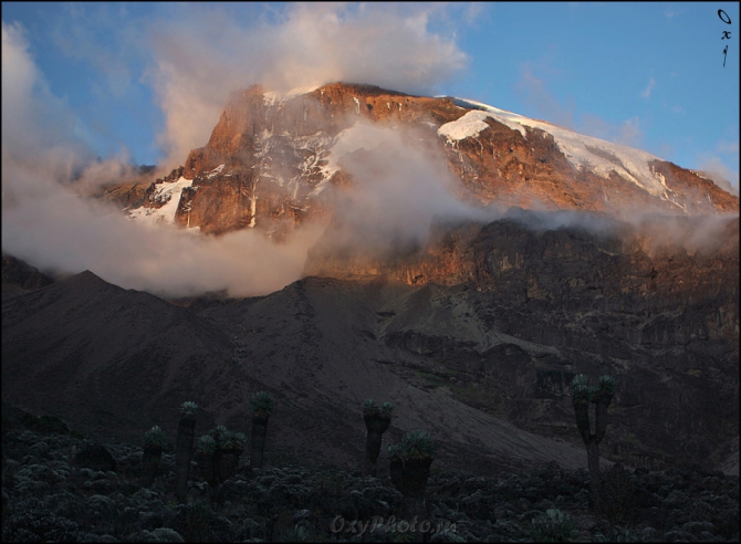 Мечты о Килиманджаро, ставшие реальностью... (2, Горный туризм, kilimanjaro, machame, мачаме, меру, шира, кибо, танзания, африка, восхождение, путешествия, горы, альпинизм, фотография, фото, photo)