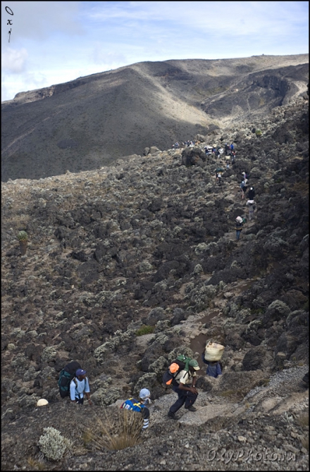 Мечты о Килиманджаро, ставшие реальностью... (2, Горный туризм, kilimanjaro, machame, мачаме, меру, шира, кибо, танзания, африка, восхождение, путешествия, горы, альпинизм, фотография, фото, photo)
