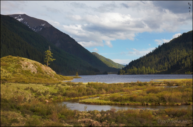 Немного летних Алтайских красот... (Горный туризм, горный туризм, фото, фотография, горы, северо-чуйский хребет, чуя, катунь)