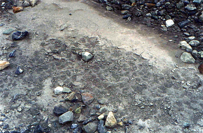 Маршруты южных склонов пика Ленина (Альпинизм, пик ленина, маршрут хойера, маршрут устинова, маршрут борисенка)