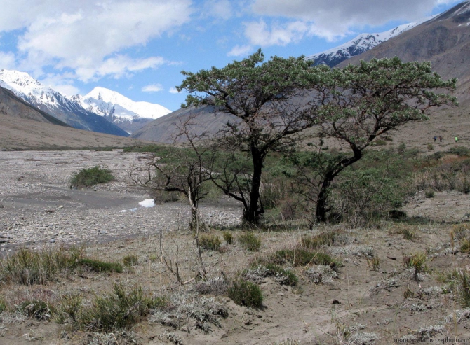 Фотогалерея или репортаж. Памирский марафон 2009. Часть 1. Разминка. (Альпинизм, пик революции, пик коммунизма, пик ленина, маи)