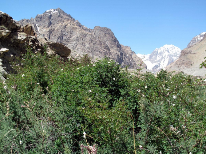 Фотогалерея или репортаж. Памирский марафон 2009. Часть 1. Разминка. (Альпинизм, пик революции, пик коммунизма, пик ленина, маи)