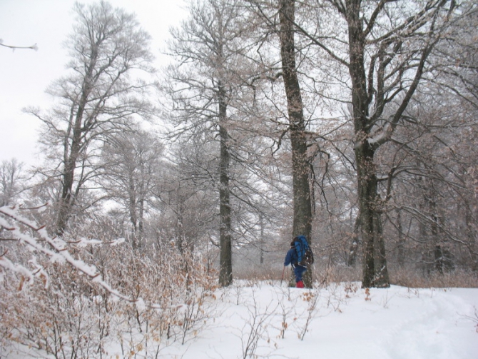 Карпаты. Пилипец и полонина Боржава, март, 2010 г. (Горный туризм)