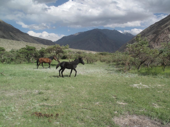 Фотогалерея или репортаж. Памирский марафон 2009. Часть 3. Пик Коммунизма (Альпинизм, маи, пик ленина, пик революции)