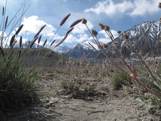 Фотогалерея или репортаж. Памирский марафон 2009. Часть 4. Пик Ленина (Альпинизм, пик революции, пик коммунизма, маи)