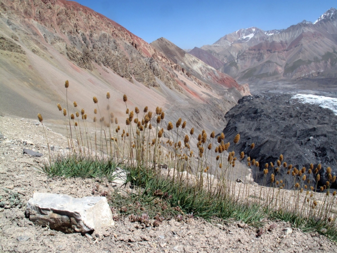 Фотогалерея или репортаж. Памирский марафон 2009. Часть 4. Пик Ленина (Альпинизм, пик революции, пик коммунизма, маи)