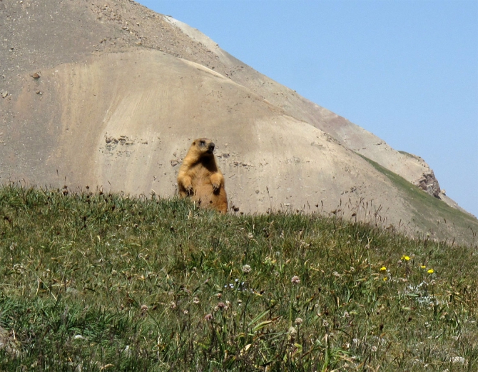 Фотогалерея или репортаж. Памирский марафон 2009. Часть 4. Пик Ленина (Альпинизм, пик революции, пик коммунизма, маи)