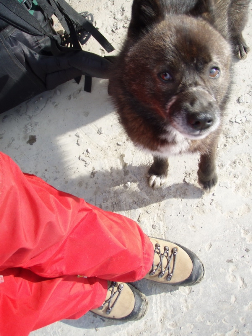 Окно с видом на Райиз (Бэккантри/Фрирайд, полярный урал backcountry райиз)