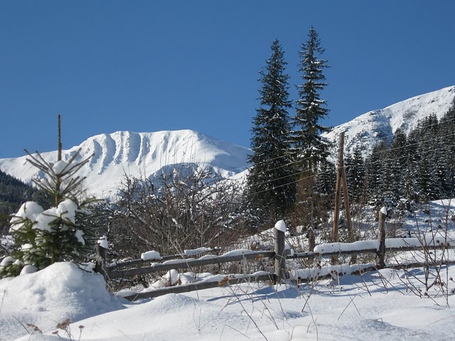 Samuriders Backcountry Camp (Бэккантри/Фрирайд, украина, карпаты, фрирайд, бэккантри)