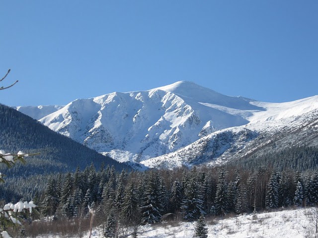 Samuriders Backcountry Camp (Бэккантри/Фрирайд, украина, карпаты, фрирайд, бэккантри)