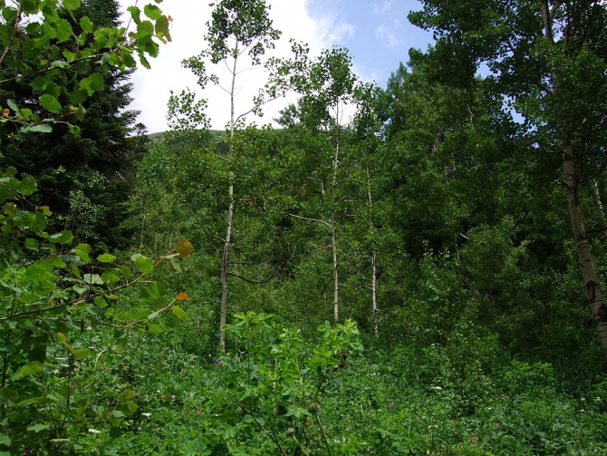 Гроза в горах (молнии и разряды, Альпинизм, гороза в горах)