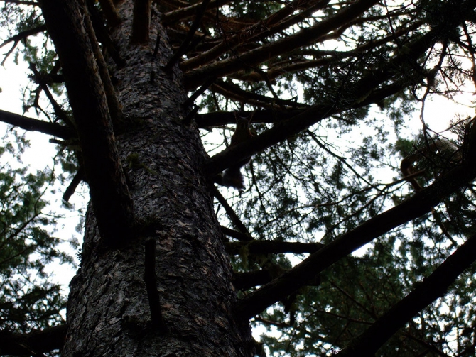 Гроза в горах (молнии и разряды, Альпинизм, гороза в горах)