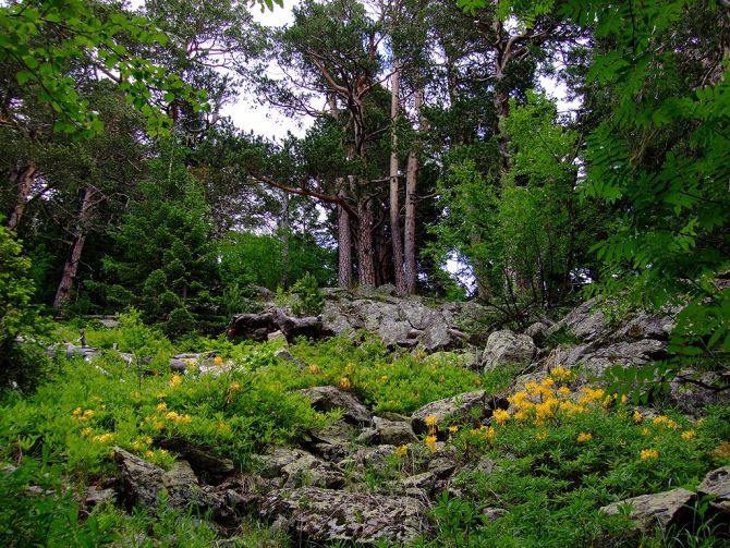 Гроза в горах (молнии и разряды, Альпинизм, гороза в горах)