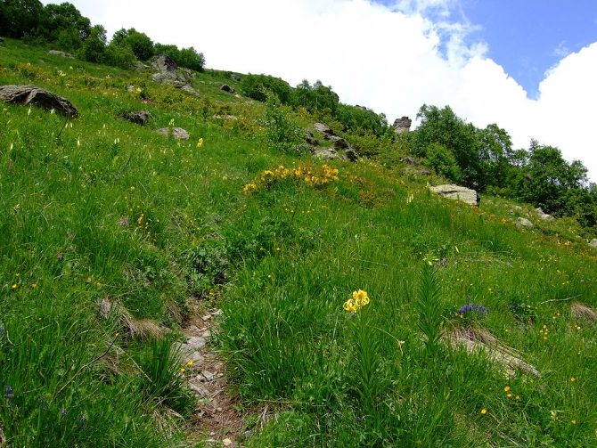 Гроза в горах (молнии и разряды, Альпинизм, гороза в горах)