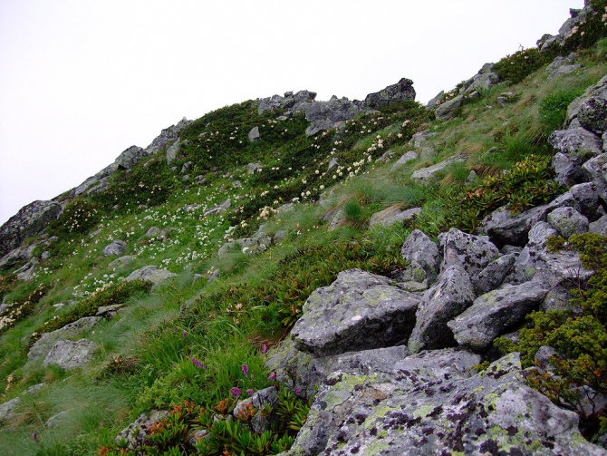 Гроза в горах (молнии и разряды, Альпинизм, гороза в горах)