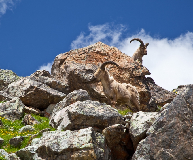 Light&Fast 2 или горная пятерка налегке (Горный туризм, поход, кавказ, снаряжение, горный туризм)