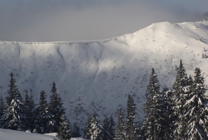 Зимняя Карпатская Радиоэкспедиция 2010. Петрос - Говерла (Бэккантри/Фрирайд, карпаты)