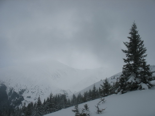 Зимняя Карпатская Радиоэкспедиция 2010. Петрос - Говерла (Бэккантри/Фрирайд, карпаты)
