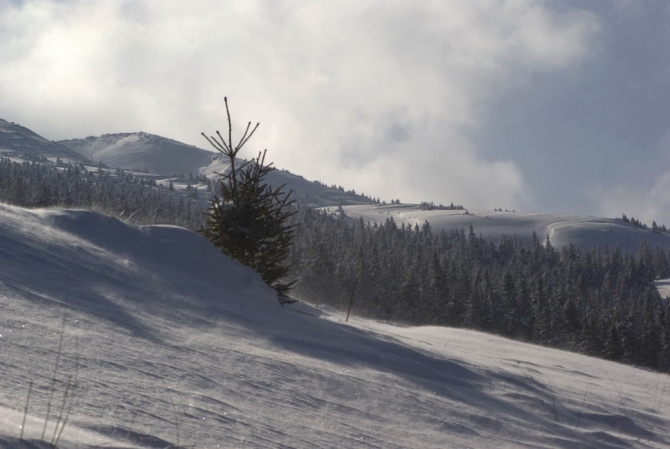 Зимняя Карпатская Радиоэкспедиция 2010. Петрос - Говерла (Бэккантри/Фрирайд, карпаты)