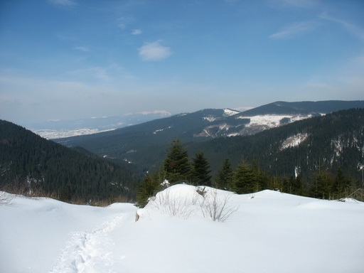 Зимняя Карпатская Радиоэкспедиция 2010. Петрос - Говерла (Бэккантри/Фрирайд, карпаты)